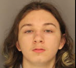 Transgender teenager pleads guilty to murder of 12-year-old girl and sharing corpse on Instagram